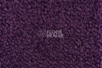 Balsan Les Best 899 фото 2 | FLOORDEALER