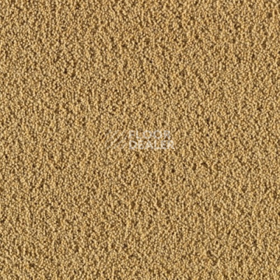 Ковролин Creatuft Ceres 3090 Gold фото 1 | FLOORDEALER