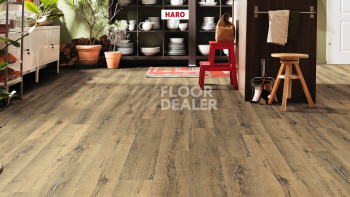 Haro Tritty 200 Aqua 4V Дуб Металлик Натур 544775 фото 3 | FLOORDEALER