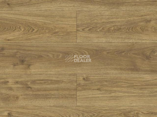 Ламинат Kronopol Platinium Bella Aqua Block 10мм Дуб Урании D40644 фото 1 | FLOORDEALER