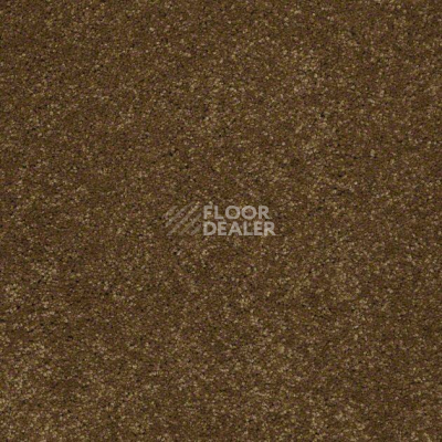 Ковролин Shaw Design Texture Platinum 773 фото 1 | FLOORDEALER