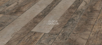 Ламинат Kronotex Exquisit Plus d4981 Дуб Трейл фото 1 | FLOORDEALER