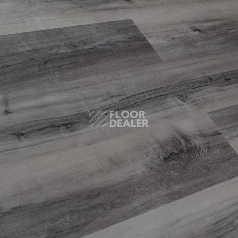 Кварцвиниловые полы Evofloor Optima Click 4.2мм Дуб Индиго фото 1 | FLOORDEALER