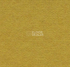 Ковролин Forbo Flotex wonderlab 07 900265 Sunshine фото 1 | FLOORDEALER