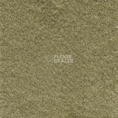 Ковролин AW Satin 20 фото 1 | FLOORDEALER