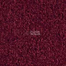 Ковролин Balsan Bolero 590 фото 1 | FLOORDEALER