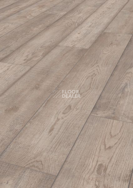 Ламинат Terhurne Dureco Classic Line 2808 / a09 Дуб Янтарный-серый фото 1 | FLOORDEALER