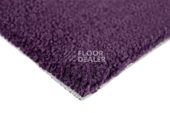 Balsan Les Best 899 фото 4 | FLOORDEALER