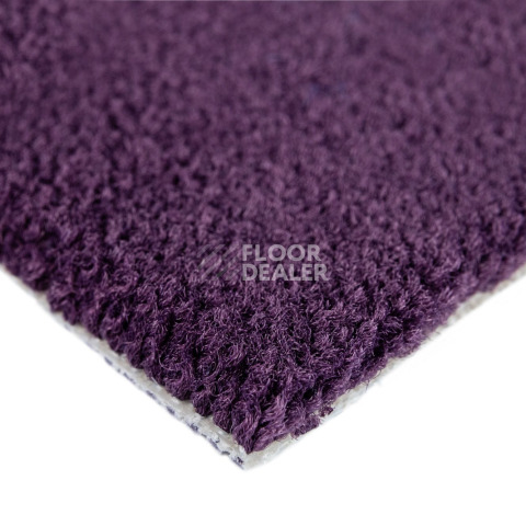 Balsan Les Best 899 фото 4 | FLOORDEALER
