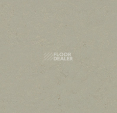 Линолеум Forbo Marmoleum Decibel 372435 orbit фото 1 | FLOORDEALER