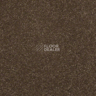 Ковролин Shaw Design Texture Platinum 760 фото 1 | FLOORDEALER