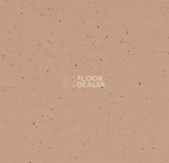 Линолеум Forbo Marmoleum Solid Cocoa 3592 salted caramel фото 1 | FLOORDEALER