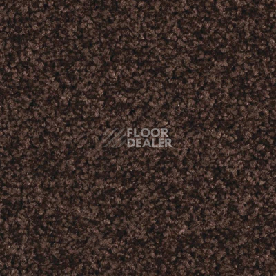 Ковролин Balsan Serenite 790 фото 1 | FLOORDEALER