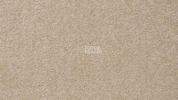 Ковролин Vorwerk Passion 1004 Vorwerk 8h99 фото 1 | FLOORDEALER
