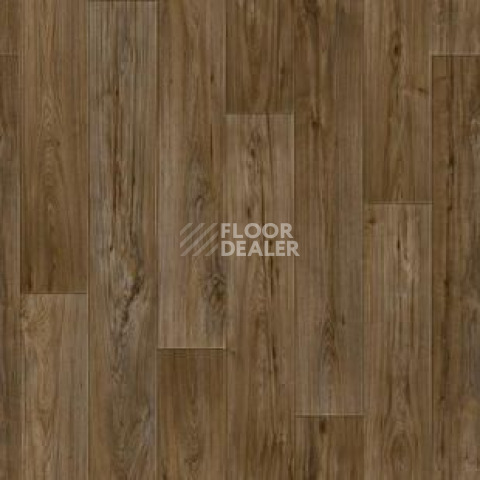 Линолеум Tarkett Комфорт KADET 4 фото 1 | FLOORDEALER