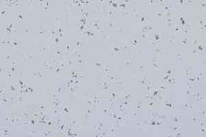 Линолеум Gerflor Mipolam BioControl Clean 5413 Rain Fall фото  | FLOORDEALER