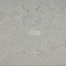 Линолеум Marmorette PUR 125-055 фото 1 | FLOORDEALER