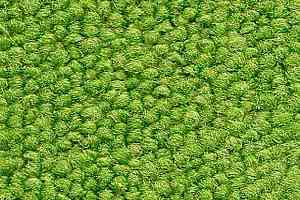 Ковровая плитка Balsan Season - Summer / Winter 240 фото  | FLOORDEALER