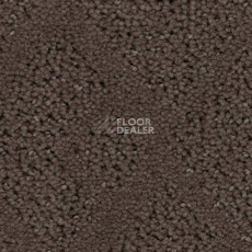 Ковролин Balsan Riziere 760 фото 1 | FLOORDEALER