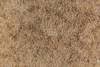 Forbo Flotex Colour s 290007 Calgary Suede фото 2 | FLOORDEALER