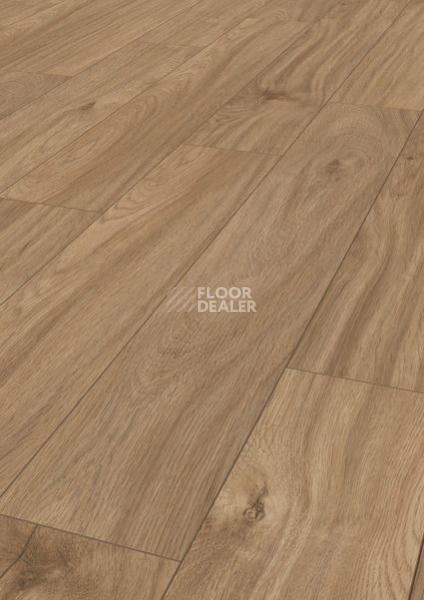 Ламинат Terhurne Dureco Classic Line 2811 / a11 Дуб Индийский-коричневый фото 1 | FLOORDEALER