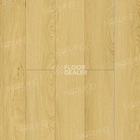Ламинат Norland Elegant 8мм Дуб Элмер LF301-08 фото 1 | FLOORDEALER