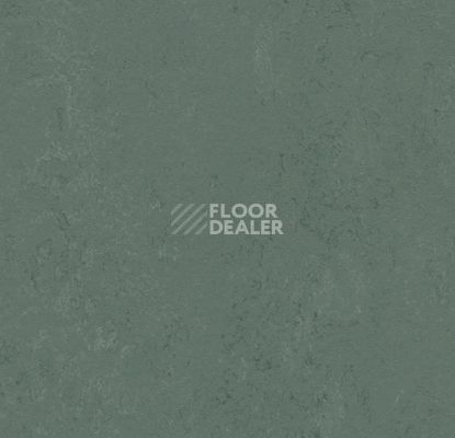 Линолеум Forbo Marmoleum Solid Concrete 3752 taiga фото 1 | FLOORDEALER