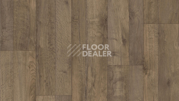 Линолеум Tarkett ENERGY Holly 2 фото 1 | FLOORDEALER