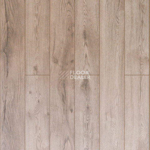Ламинат Alix Floor Regista 8мм D4763 Дуб Мелоди фото 1 | FLOORDEALER
