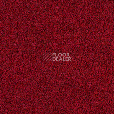 Ковровая плитка Desso Torso 4202 фото 1 | FLOORDEALER