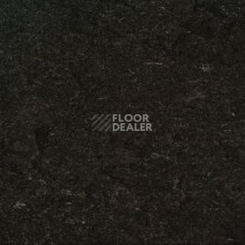 Линолеум Gerflor Marmorette AcousticPlus DLW 2121-096 фото 1 | FLOORDEALER