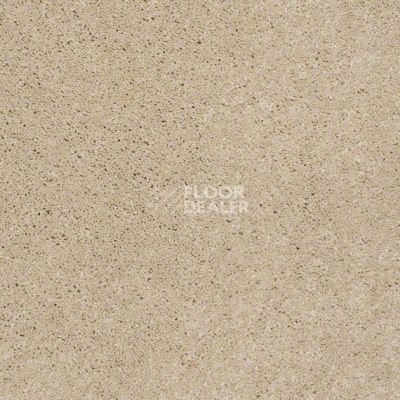 Ковролин Shaw Design Texture Platinum 140 фото 1 | FLOORDEALER