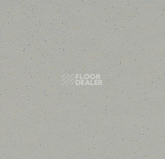 Линолеум Forbo SureStep balance 173482 greige фото 1 | FLOORDEALER