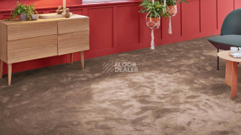 Vorwerk Superior 1067 Mira Vorwerk 7g78 фото 2 | FLOORDEALER