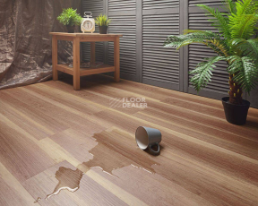 Aquafloor Classic Glue GLUE AF5504 фото 3 | FLOORDEALER