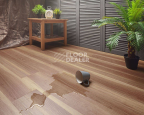 Aquafloor Classic Glue GLUE AF5504 фото 3 | FLOORDEALER