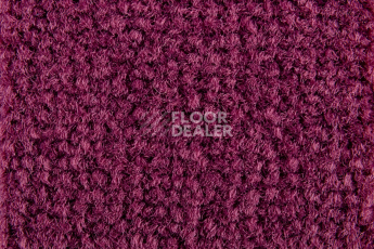 Balsan Les Best S 599 фото 2 | FLOORDEALER