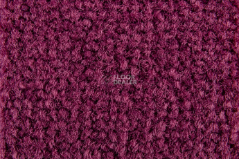 Balsan Les Best S 599 фото 2 | FLOORDEALER