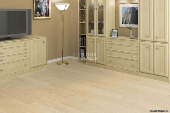 Wood OAK CREME фото 3 | FLOORDEALER