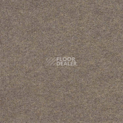 Ковролин Finett Feinwerk 403514 фото 1 | FLOORDEALER