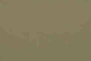Линолеум Gerflor Uni Walton 0090 Olive фото  | FLOORDEALER