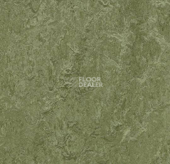 Кварцвиниловые полы Forbo Marmoleum Modular Colour 3255 фото 1 | FLOORDEALER