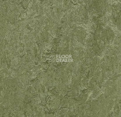 Кварцвиниловые полы Forbo Marmoleum Modular Colour 3255 фото 1 | FLOORDEALER