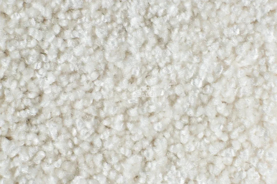 AW Masquerade Costanza 37 фото 2 | FLOORDEALER