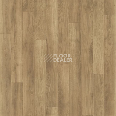 Линолеум Grabo Silver Knight Acoustic 7 2087_371.2250 фото 1 | FLOORDEALER