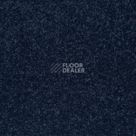 Innova Фризе 7079 фото 2 | FLOORDEALER