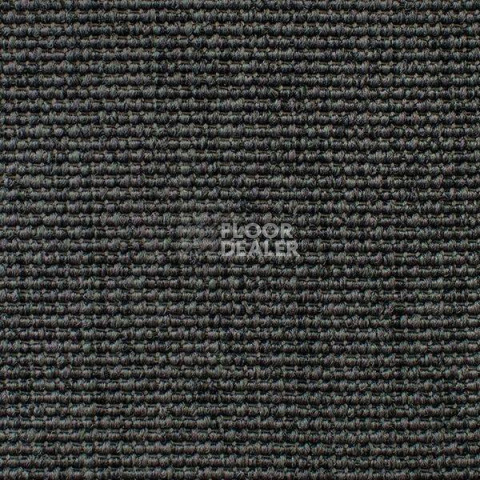 Ковролин Carpet Concept Eco Iqu 54372 фото 1 | FLOORDEALER