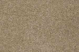Ковролин Shaw Design Texture Platinum 707 фото  | FLOORDEALER