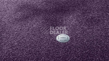 Ковролин Vorwerk Superior 1064/Lyrica Vorwerk 3q62 фото 1 | FLOORDEALER