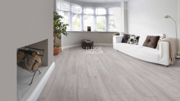 Kronotex Robusto 12мм d4956 Дуб Серый Премиум фото 2 | FLOORDEALER